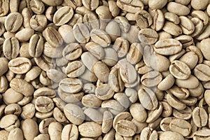 Malabar green unroasted coffee beans photo