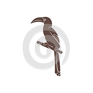 Malabar Grey Hornbill vector illustration design. Malabar Grey Hornbill Silhouette. Hornbill design template