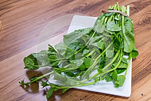 Malabar spinach