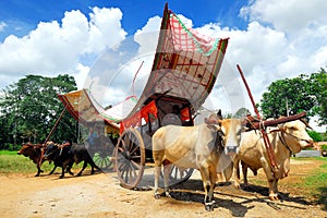 Malacca Bullock Cart