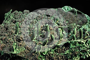 Malachite