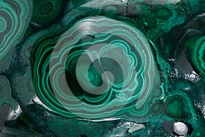 Malachite macro mineral stone on a white background