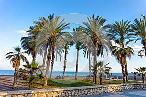 Malaga beach with palm trees Playa de la Carihuela, Torremolinos, Costa del Sol Occidental, Malaga, Andalusia, Spain photo