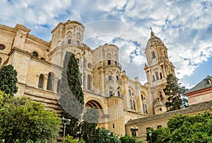 Malaga Cathedral in Andalusia, Spain photo