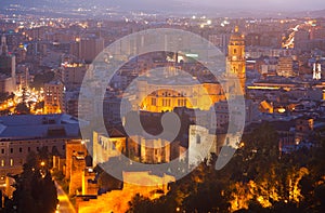 Malaga Cathedral and cityspace from castle in night