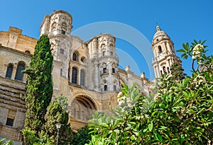 Malaga Cathedral. Malaga, Andalusia, Spain