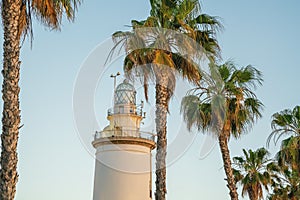 Malaga lighthouse (La Farola) and Palm Trees - Malaga, Andalusia, Spain photo