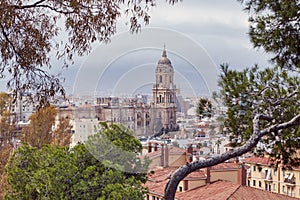 Malaga, Spain. Cityscape Elevated View. Cathedral Of Malaga