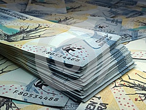 Malagasy money. Malagasy ariary banknotes. 200 MGA ariary bills