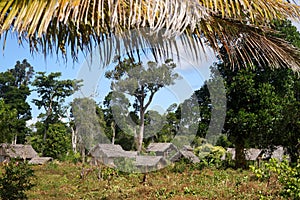 Small malagasy village