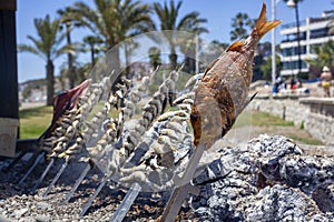 Malagueta Beach Bar, Fish Barbeque, Malaga, Andalucia, Andalusia, Spain