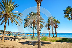 Malagueta beach in Malaga. Andalusia, Spain