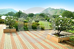 Malampuzha garden