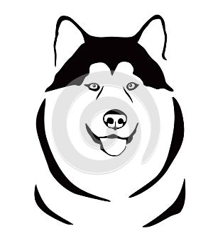 Malamute dog. Black and white drawing. Vector graphics