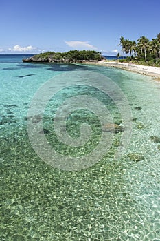 Malapascua island beach background philippines photo