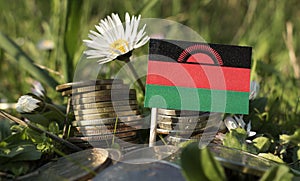 Malawi flag with stack of money coins with grass