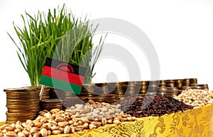 Malawi flag waving with stack of money coins and piles of wheat