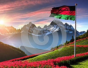 Malawi Flag Waving on the wind