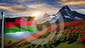 Malawi Flag Waving on the wind