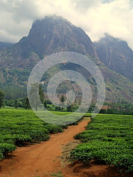 Malawi Landscape