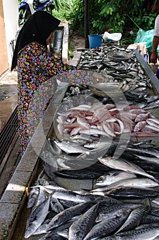 Malay Girl Selling Fish