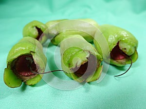 Malay rose apple fruit bud