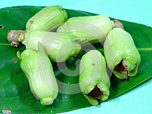 Malay rose apple fruit bud