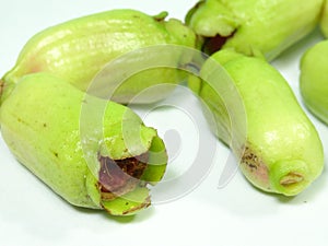 Malay rose apple fruit bud