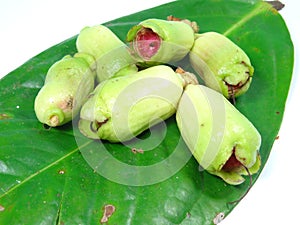Malay rose apple fruit bud