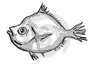 Malayan Deepsea Boarfish Australian Fish Cartoon Retro Drawing