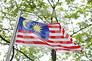 Malaysia Flag, Jalur Gemilang photo