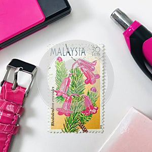 A Malaysia postage stamp. Highland Flowers of Malaysia Series II , Rhododendron erocoides.