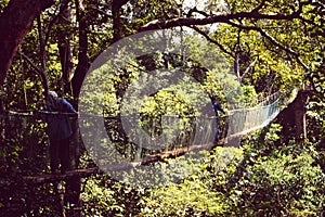 Malaysia: Rain forest hang bridge walk in Taman Negara National