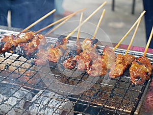 Malaysian famous traditional food called sate. Meat or chicken marinated with mix spices and grill using hot charcoal.