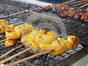 Malaysian famous traditional food called sate. Meat or chicken marinated with mix spices and grill using hot charcoal.