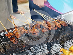 Malaysian famous traditional food called sate. Meat or chicken marinated with mix spices and grill using hot charcoal.