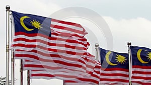 Malaysian flags fluttering in the wind