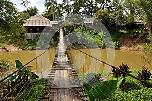 Malaysian Hanging Bridge