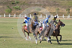 Malaysian Open Polo Action