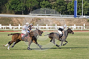 Malaysian Open Polo Action