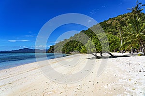 Malcapuya Island, Coron, Philippines photo