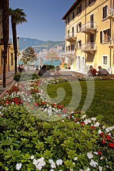 Malcesine, garda lake