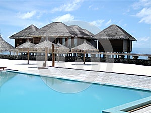 Maldive Tropical swimming pool