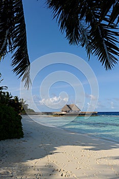 Maldives beach