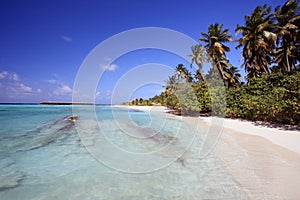 Maldives beach