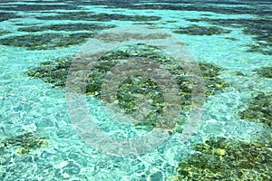 Maldives green seawater photo