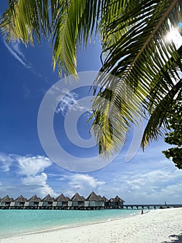 Maldives Holiday Atoll Resort - beach villas water villas