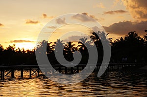 Maldives island beach sunset swim