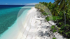 Maldives islands ocean tropical beach with palms. Aerial drone view