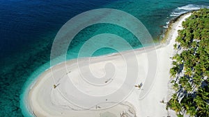 Maldives islands ocean tropical beach with palms. Aerial drone view